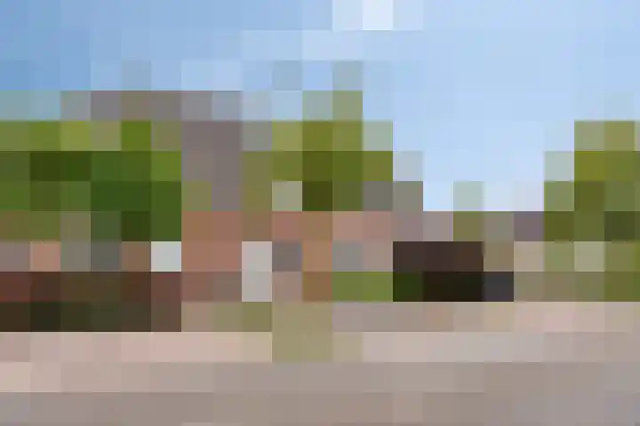 Elzenweg 8 Wijchen thumbnail 4