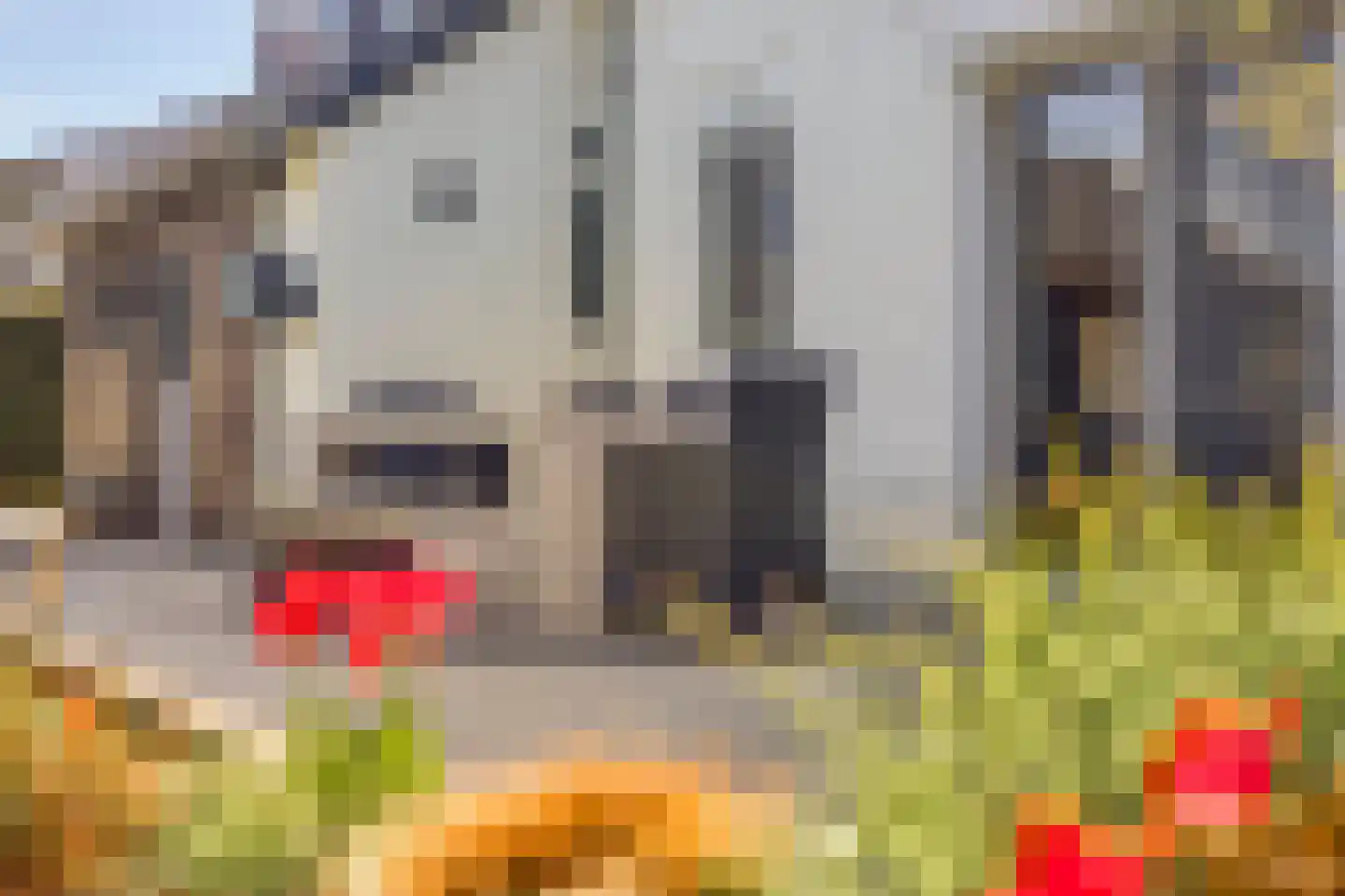 Elzenweike 5 Heibloem thumbnail 42