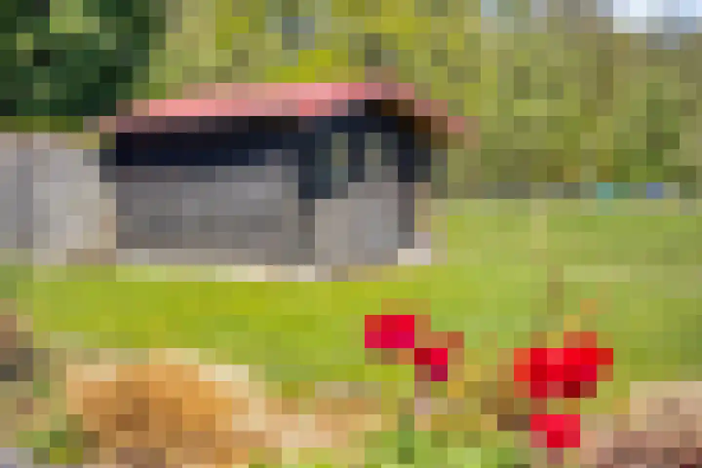 Elzenweike 5 Heibloem thumbnail 43