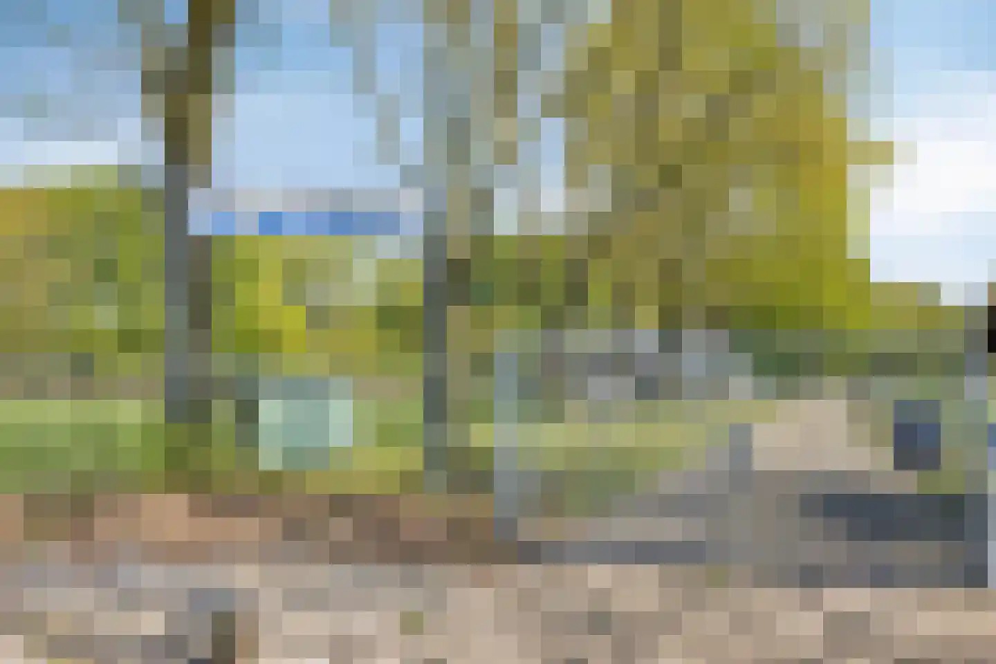 Elzenweike 5 Heibloem thumbnail 63
