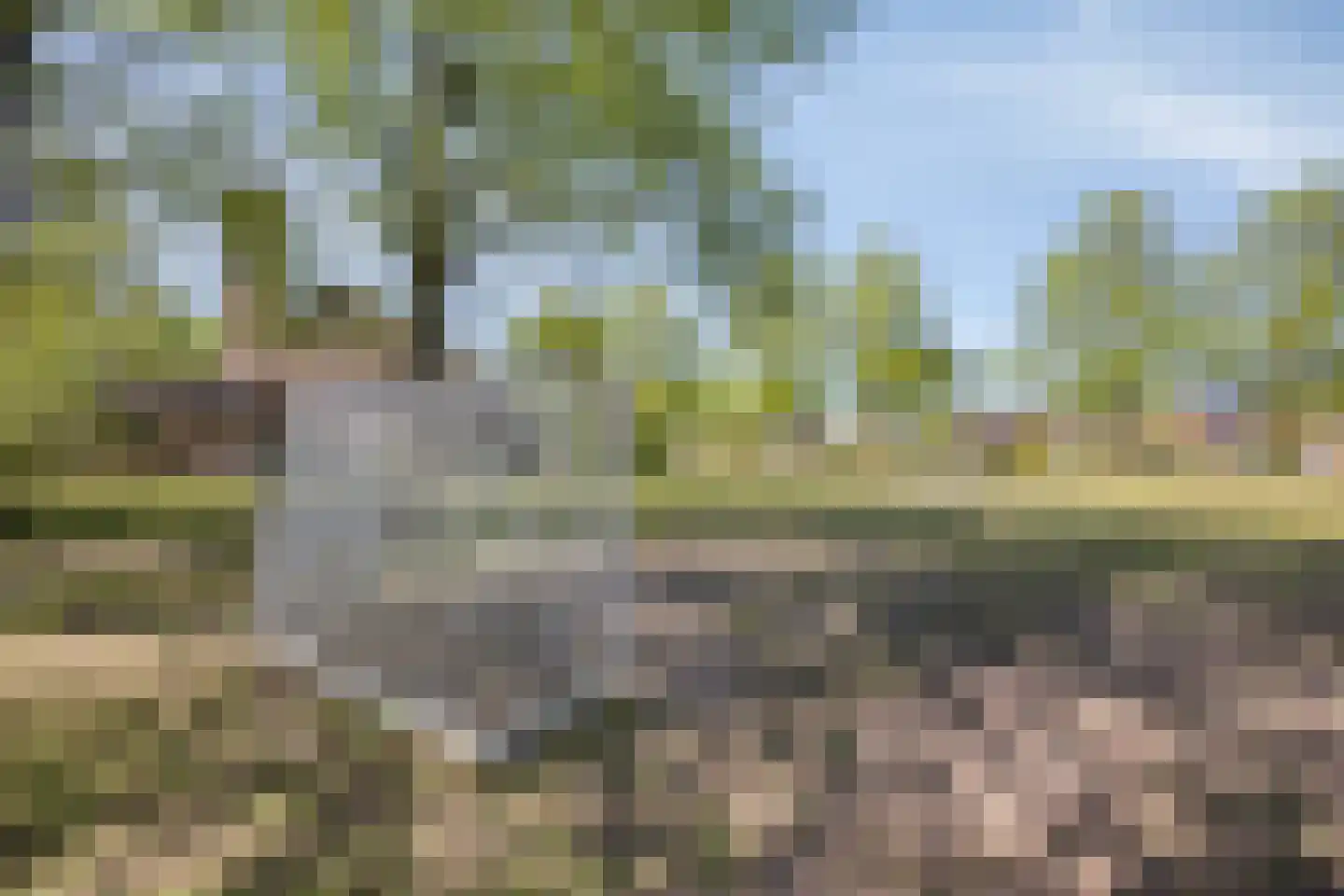 Elzenweike 5 Heibloem thumbnail 64