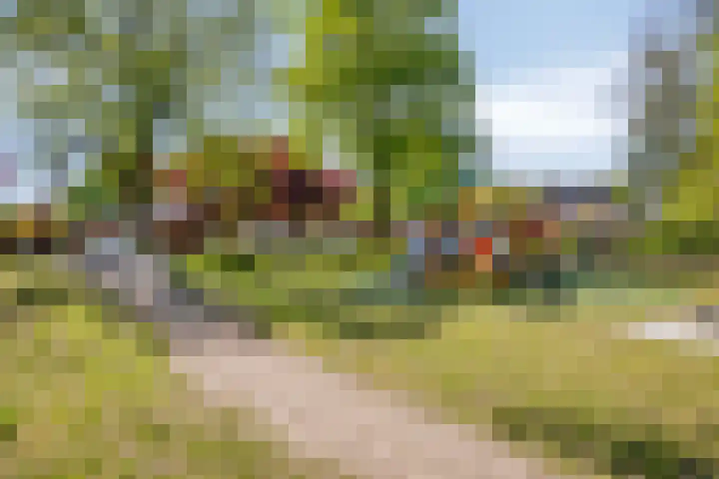 Elzenweike 5 Heibloem thumbnail 65