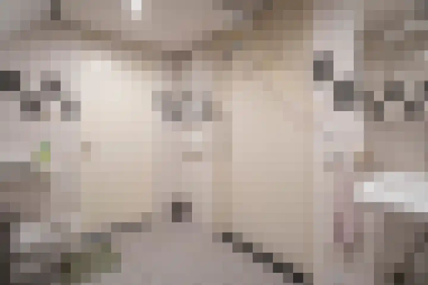 Elzenzoom 127 Papendrecht thumbnail 16