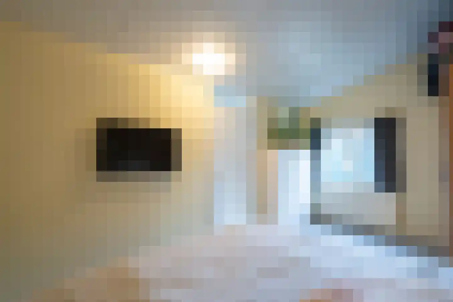 Elzenzoom 127 Papendrecht thumbnail 19