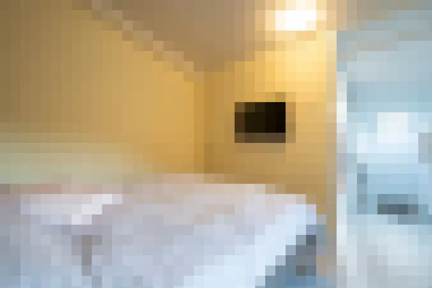 Elzenzoom 127 Papendrecht thumbnail 20