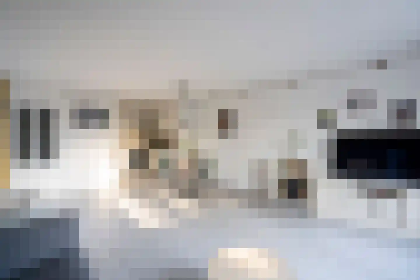 Elzenzoom 127 Papendrecht thumbnail 4