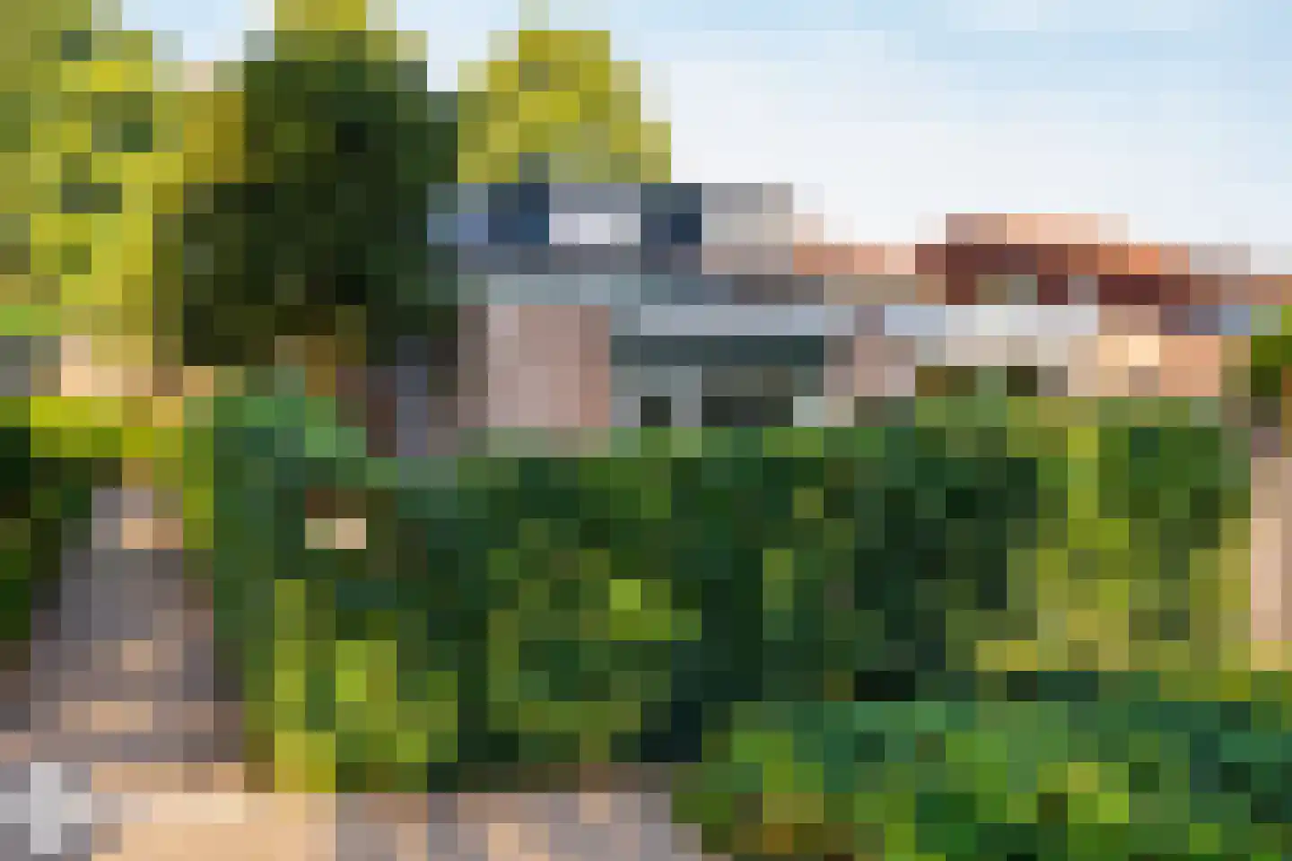Elzenzoom 127 Papendrecht thumbnail 6