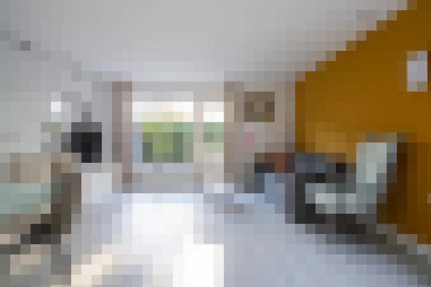 Elzenzoom 127 Papendrecht thumbnail 7