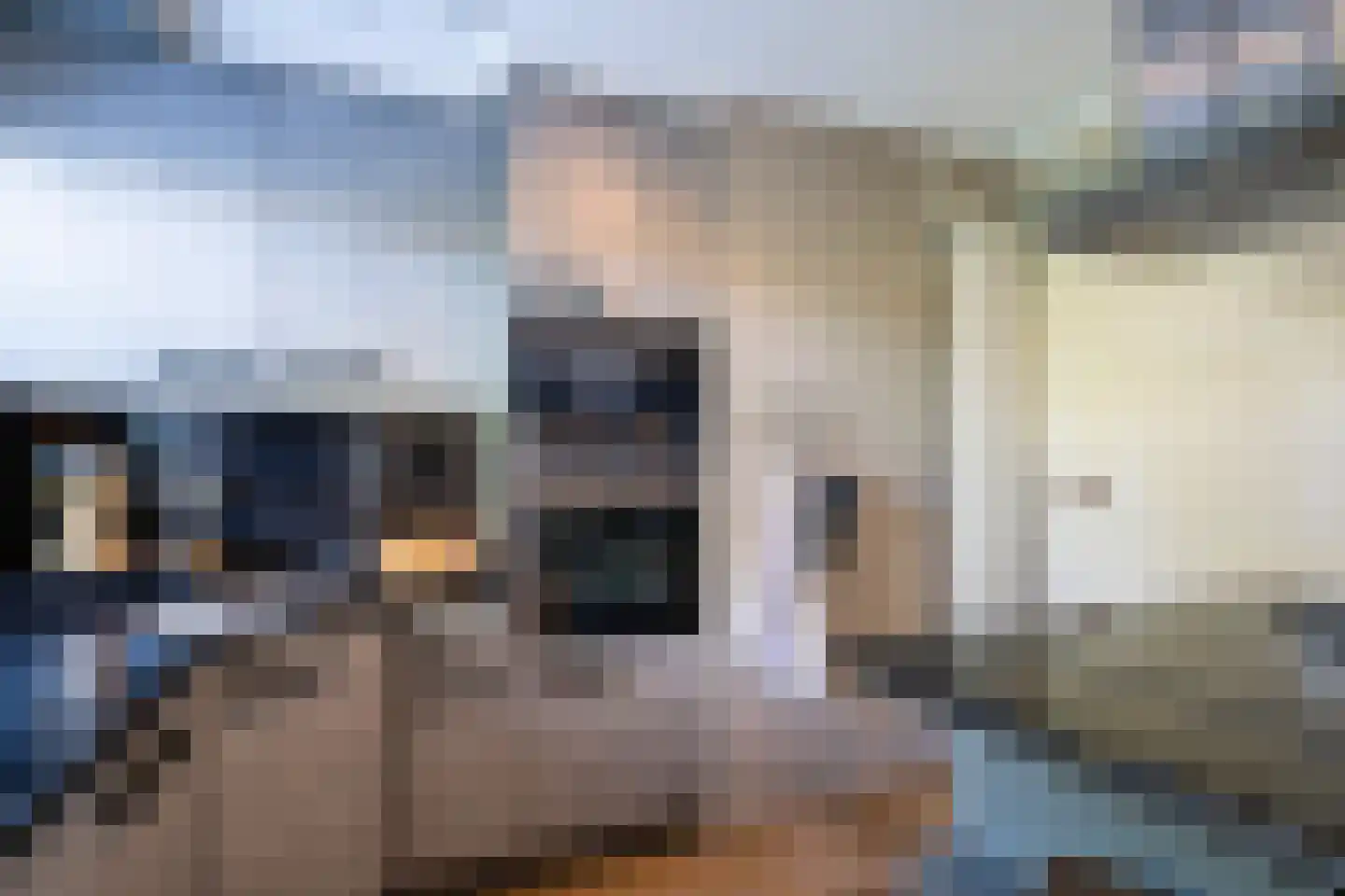 Elzenzoom 14 Papendrecht thumbnail 12