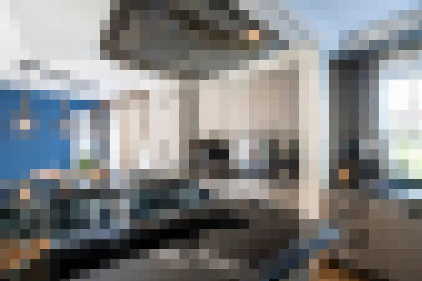 Elzenzoom 14 Papendrecht thumbnail 13