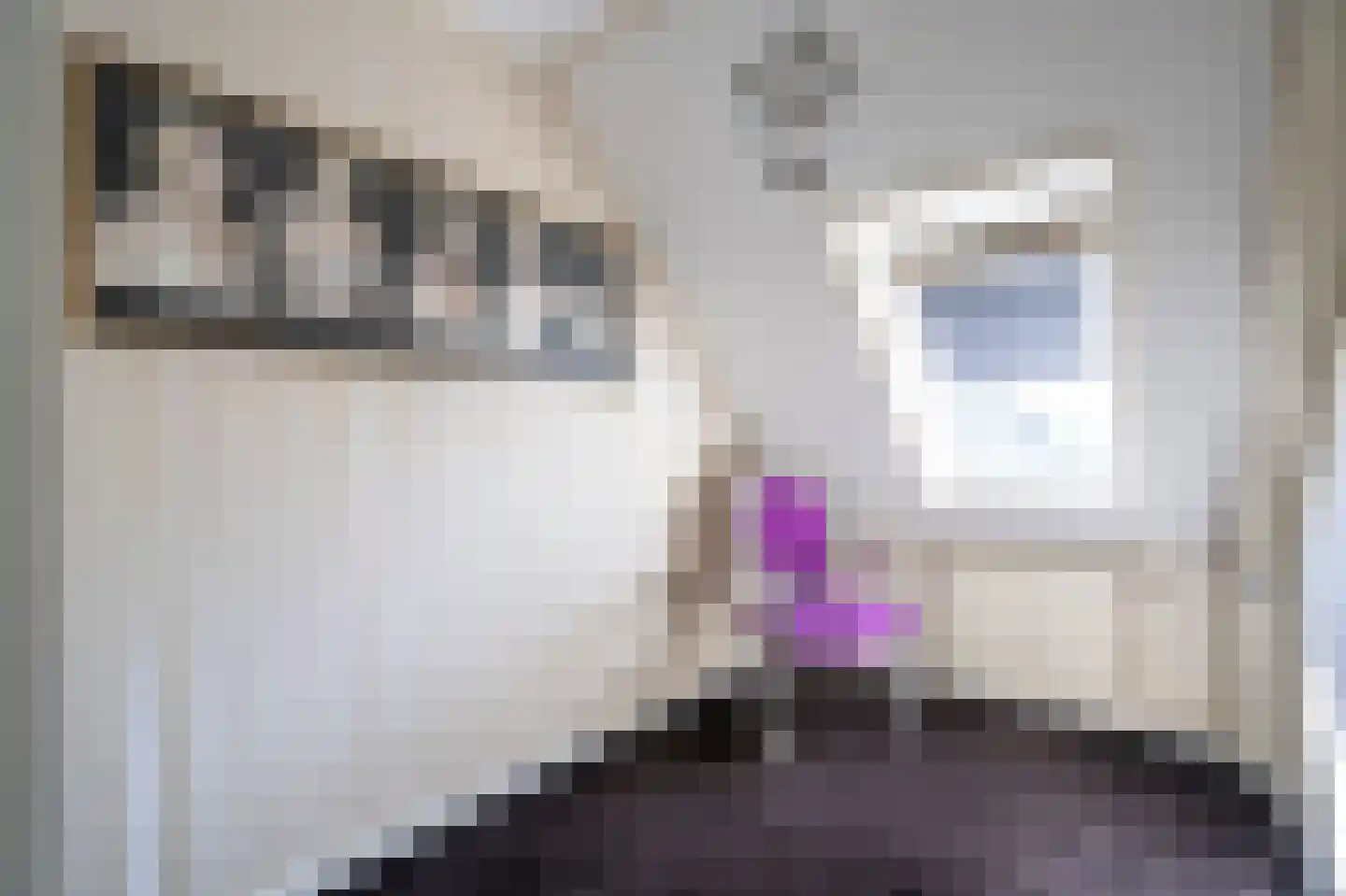 Elzenzoom 14 Papendrecht thumbnail 21