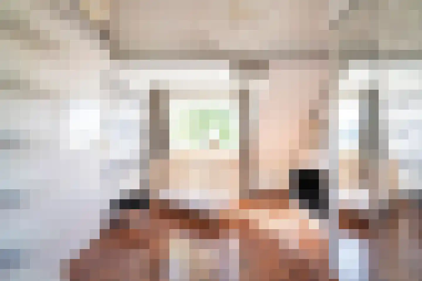 Elzenzoom 14 Papendrecht thumbnail 29