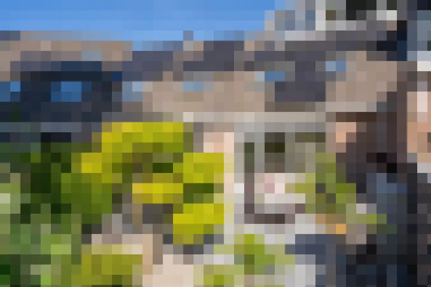 Elzenzoom 14 Papendrecht thumbnail 32
