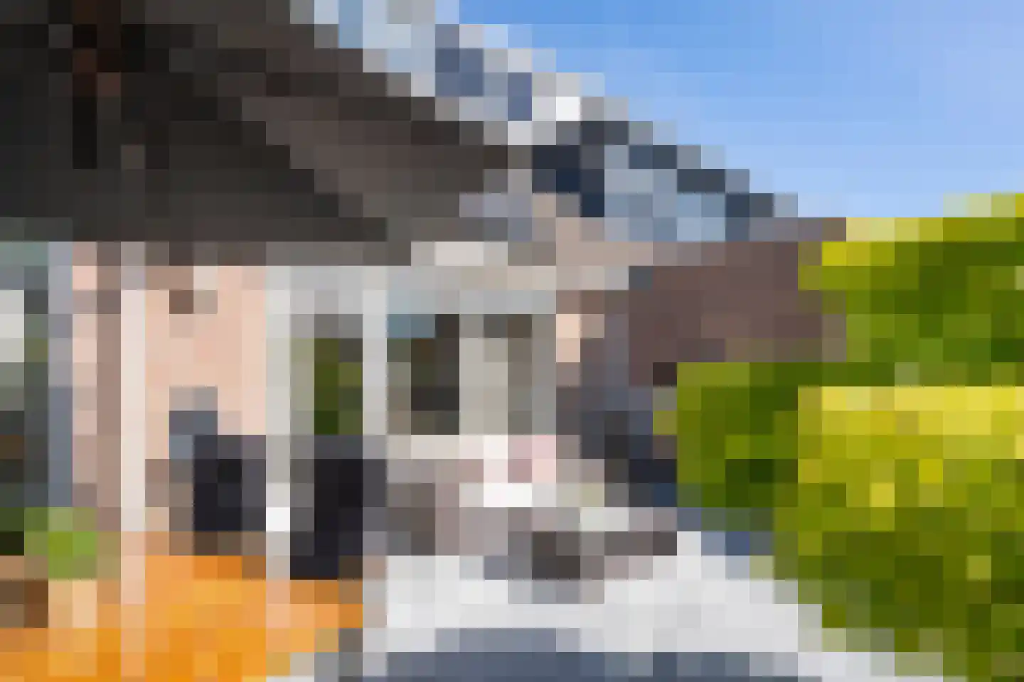 Elzenzoom 14 Papendrecht thumbnail 34