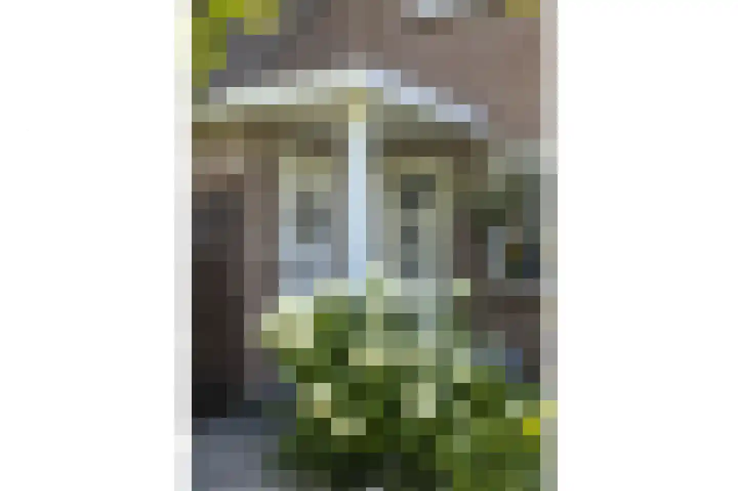Elzenzoom 14 Papendrecht thumbnail 35