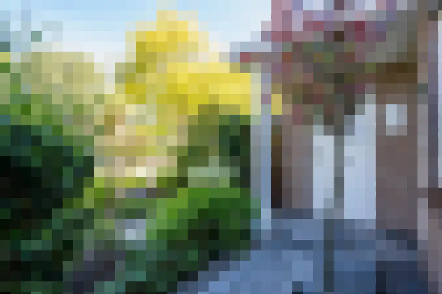 Elzenzoom 14 Papendrecht thumbnail 36