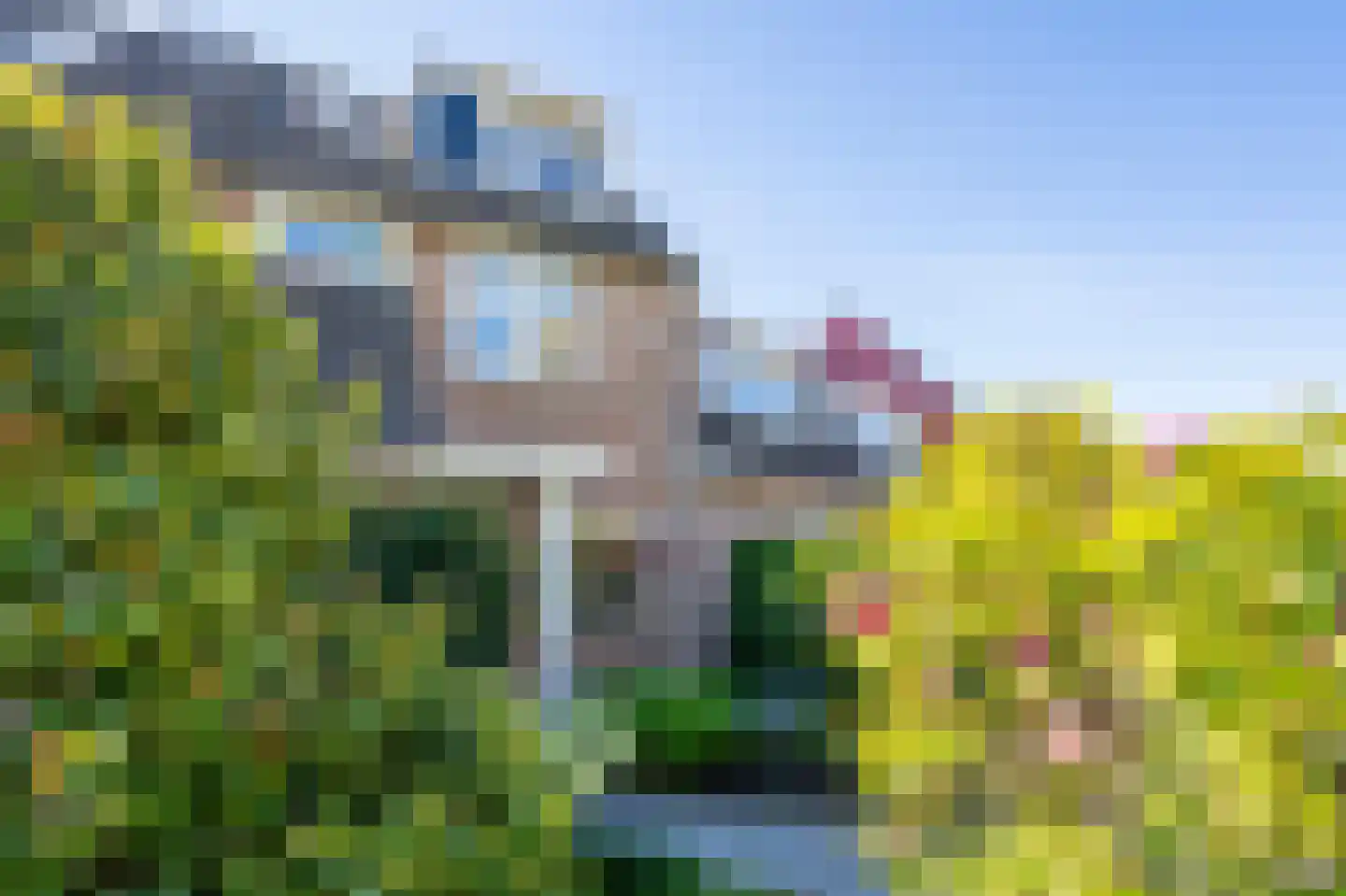 Elzenzoom 14 Papendrecht thumbnail 5