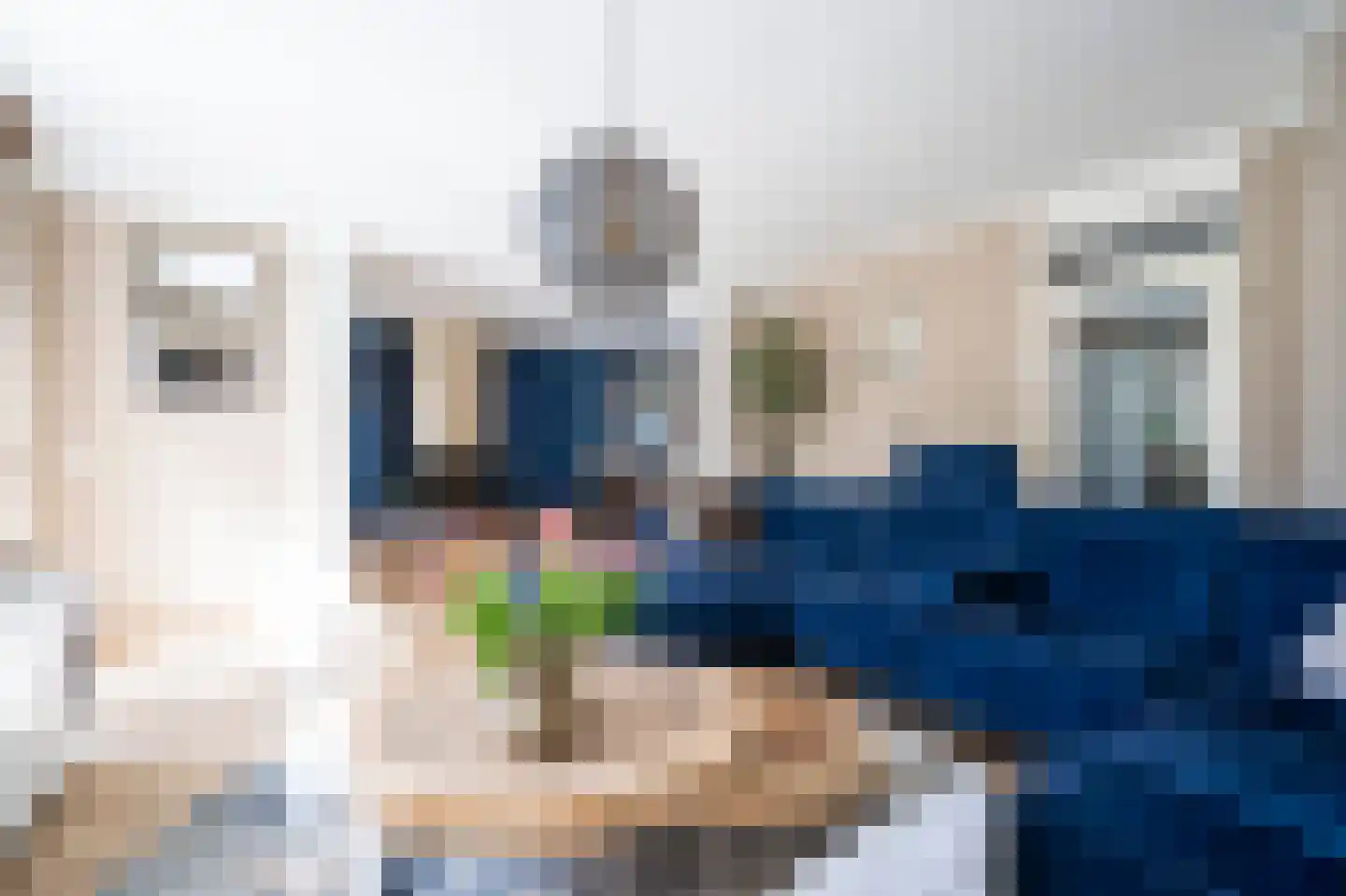 Elzenzoom 14 Papendrecht thumbnail 6
