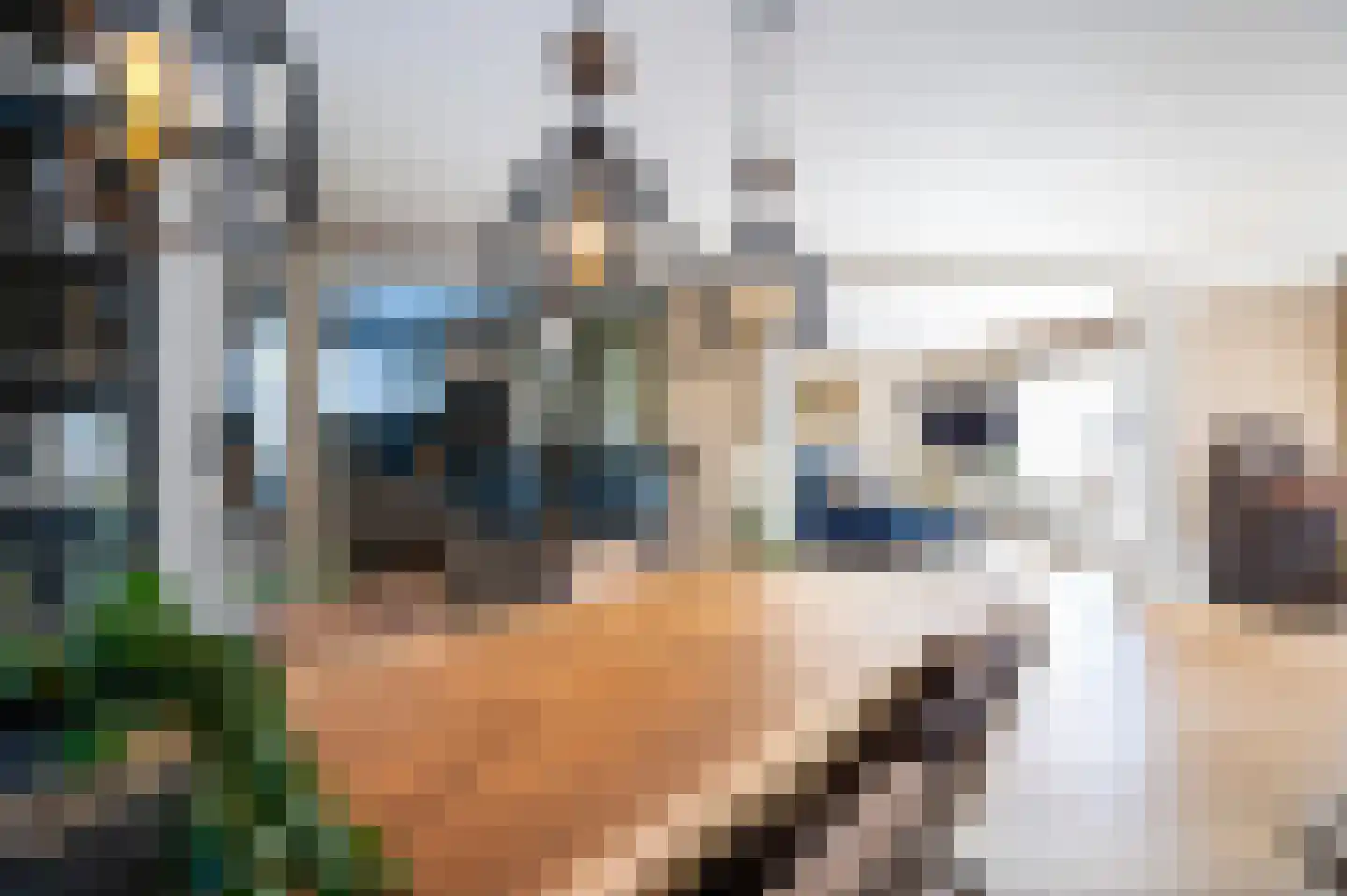 Elzenzoom 14 Papendrecht thumbnail 9