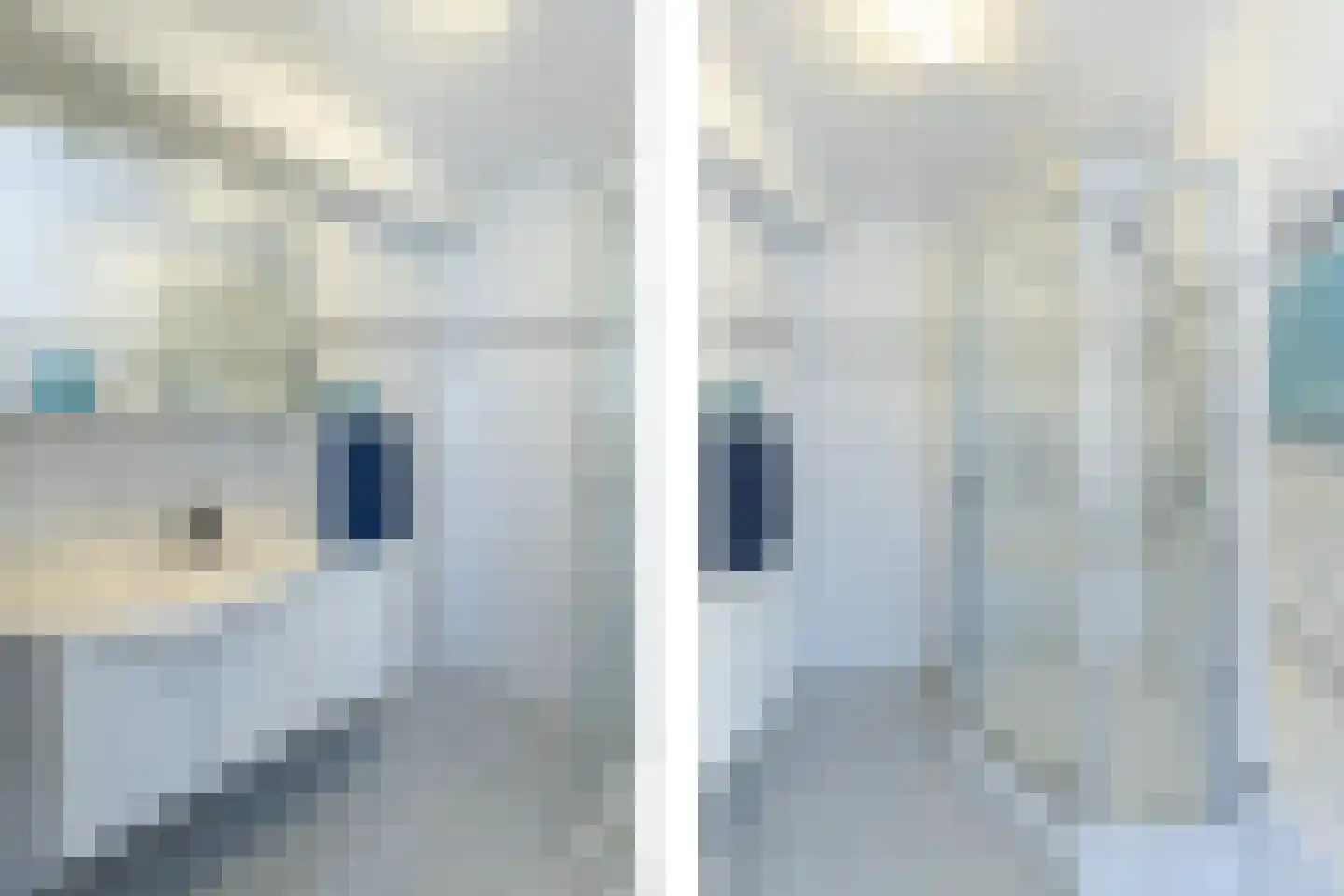 Elzenzoom 81 Papendrecht thumbnail 14