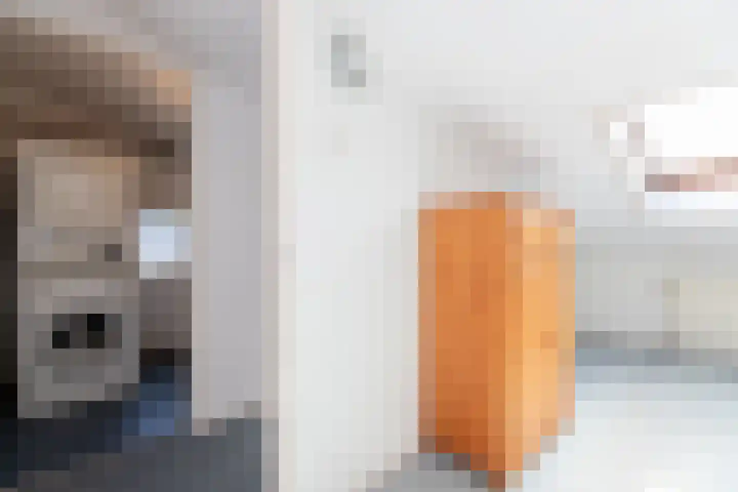 Elzenzoom 81 Papendrecht thumbnail 18