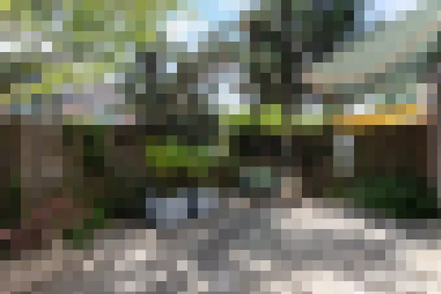 Elzenzoom 81 Papendrecht thumbnail 22