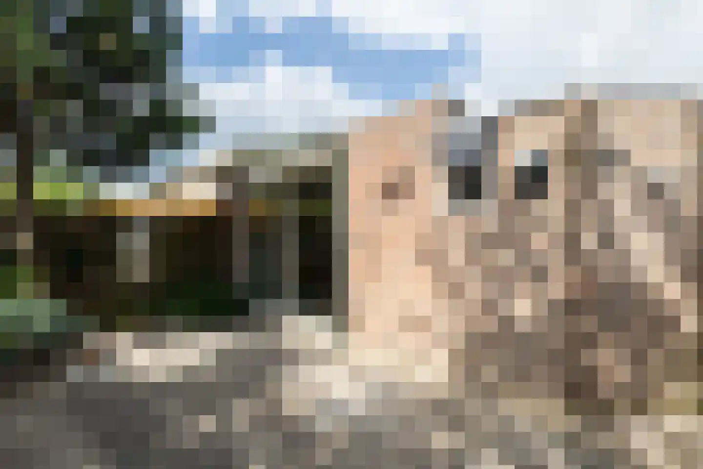Elzenzoom 81 Papendrecht thumbnail 23