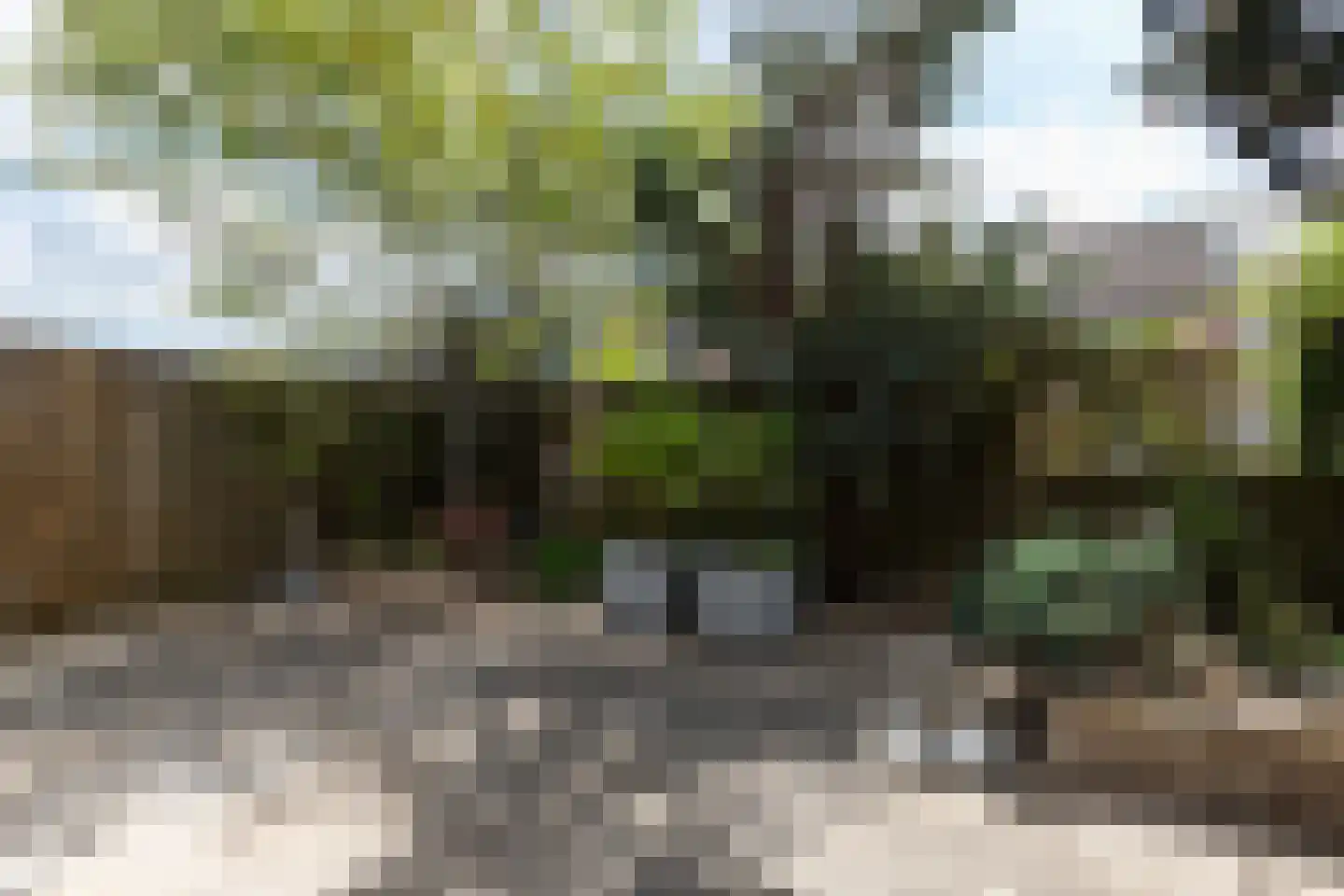 Elzenzoom 81 Papendrecht thumbnail 4