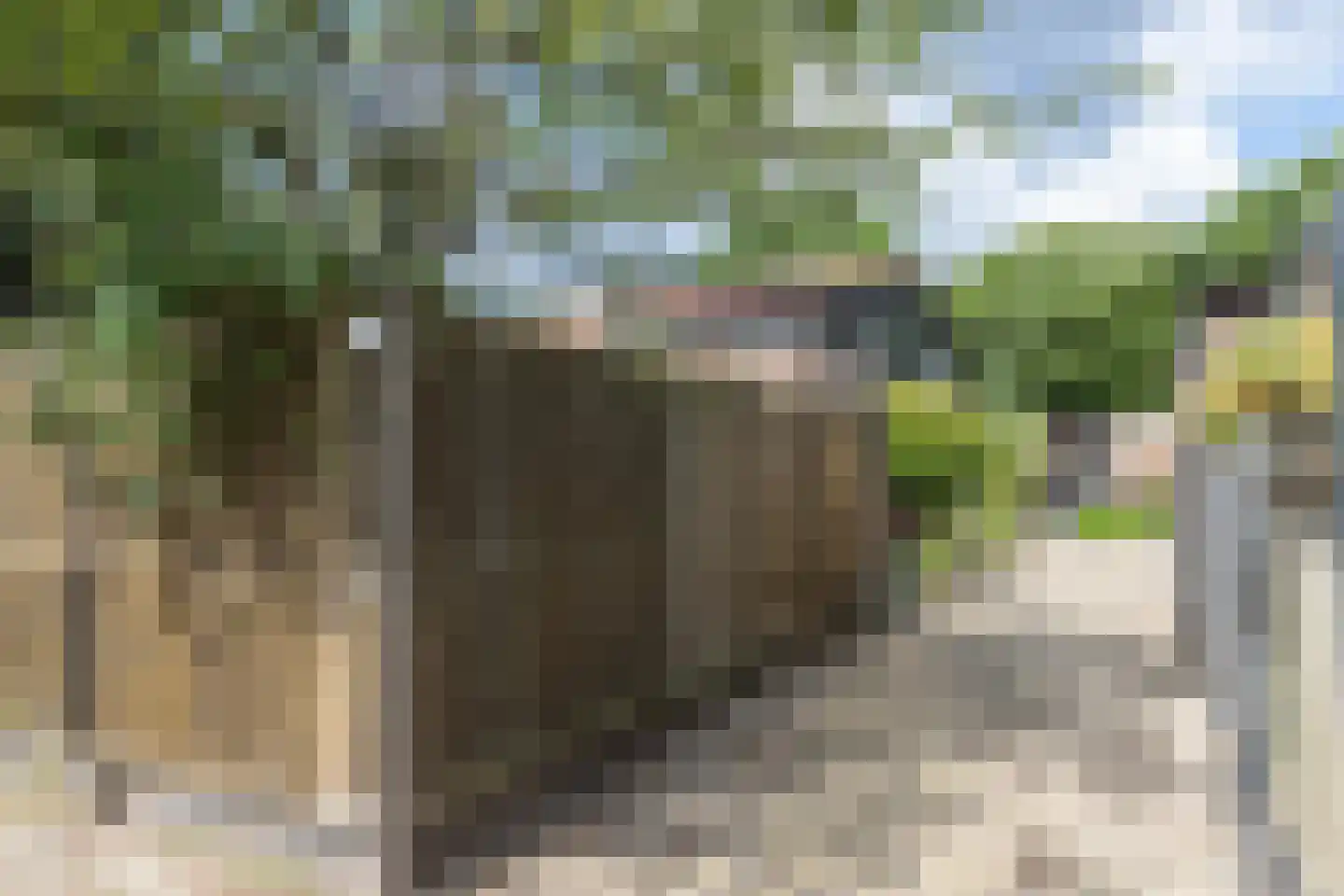 Elzenzoom 81 Papendrecht thumbnail 5