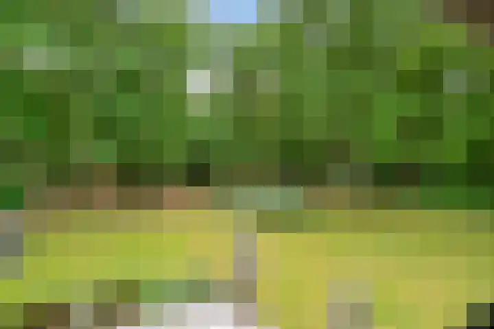 Elzepad 12 en Boerakker