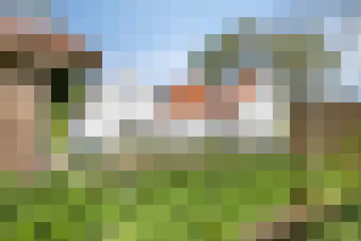 Elzepad 12 dans Boerakker
