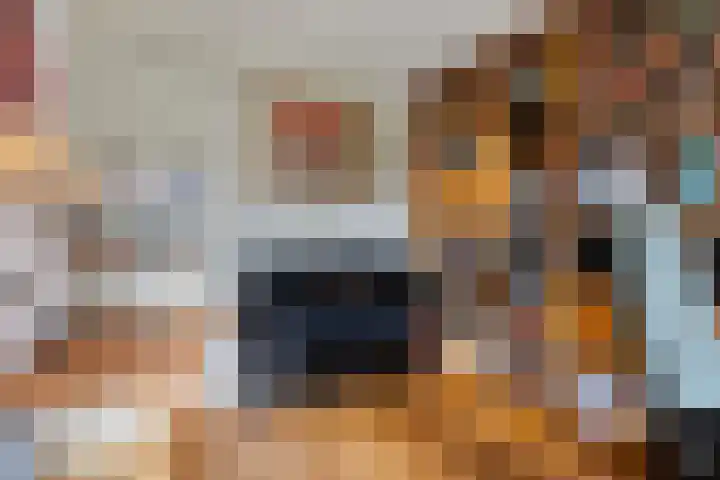 Elzepas 39 Elst thumbnail 11