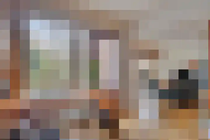 Elzepas 39 Elst thumbnail 12