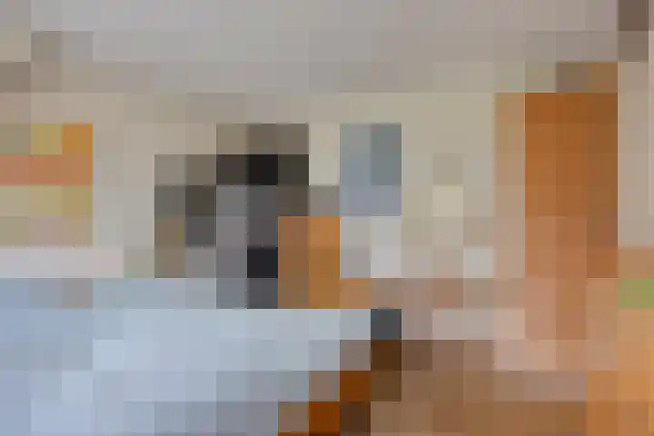 Elzepas 39 Elst thumbnail 21