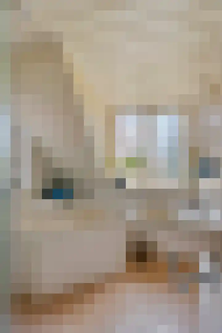 Elzepas 39 Elst thumbnail 22