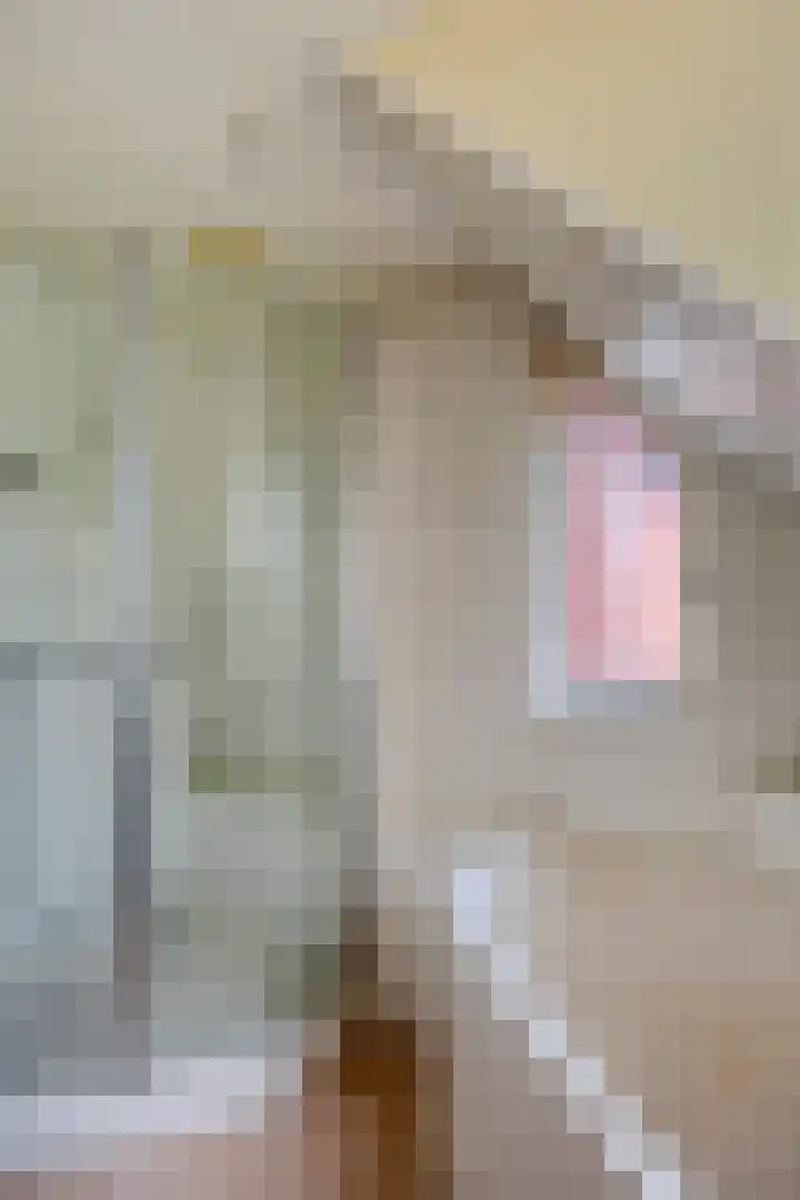 Elzepas 39 Elst thumbnail 23