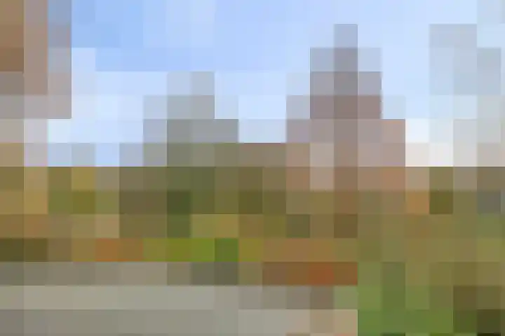 Elzepas 39 Elst thumbnail 27
