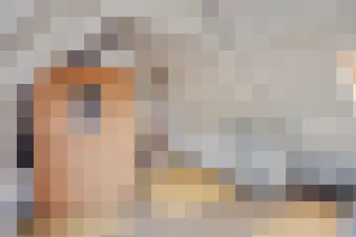 Elzepas 39 Elst thumbnail 31