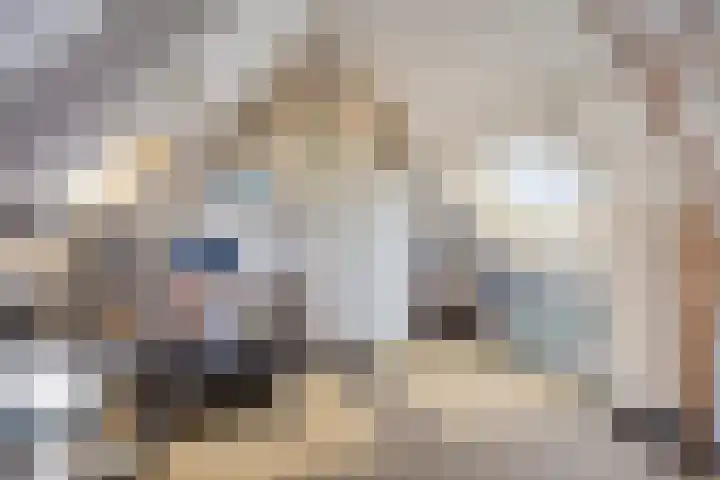 Elzepas 39 Elst thumbnail 32