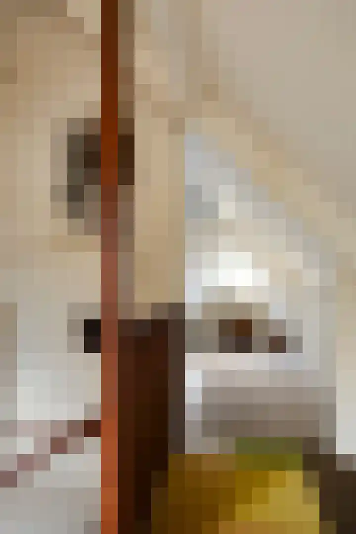 Elzepas 39 Elst thumbnail 33