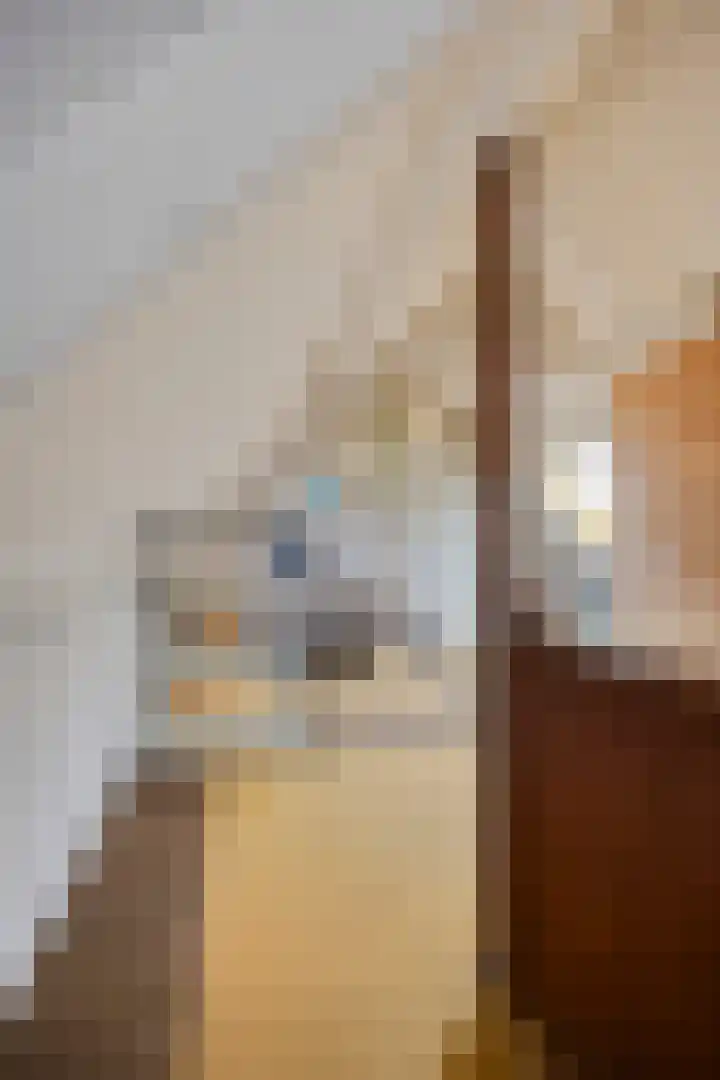 Elzepas 39 Elst thumbnail 34