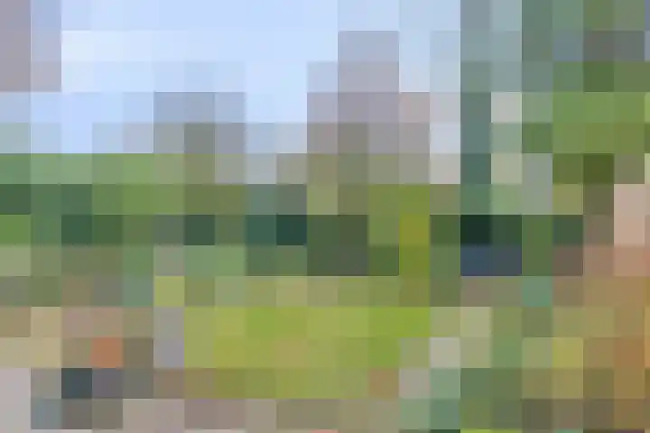 Elzepas 39 Elst thumbnail 37