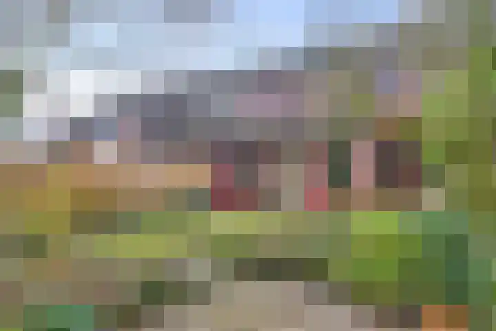 Elzepas 39 Elst thumbnail 38