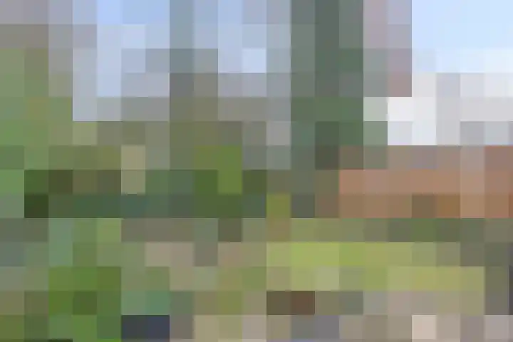 Elzepas 39 Elst thumbnail 39