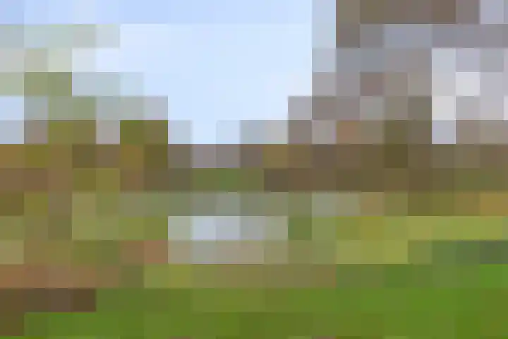 Elzepas 39 Elst thumbnail 43