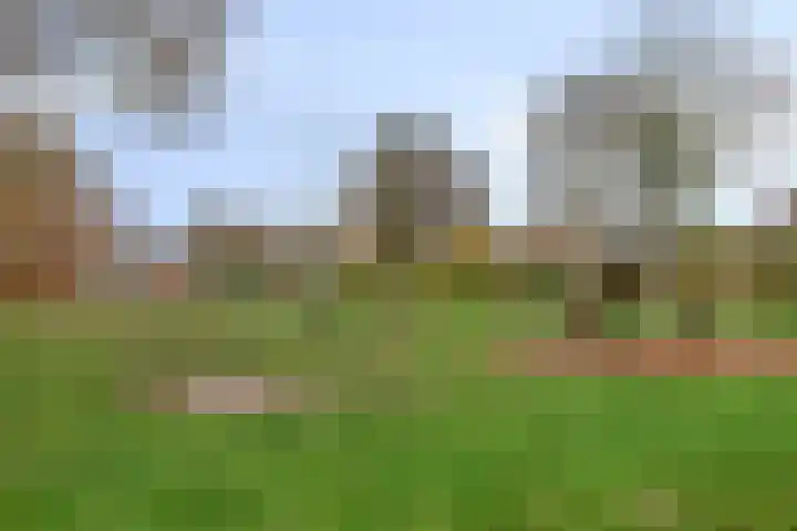 Elzepas 39 Elst thumbnail 44