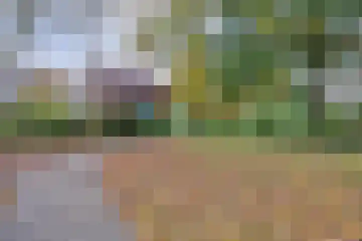 Elzepas 39 Elst thumbnail 45
