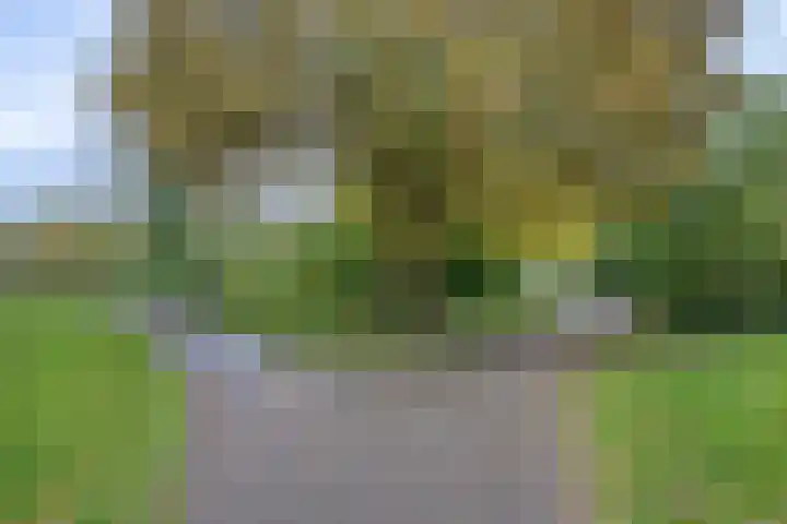 Elzepas 39 Elst thumbnail 46