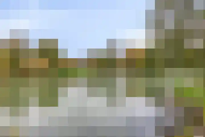 Elzepas 39 Elst thumbnail 47