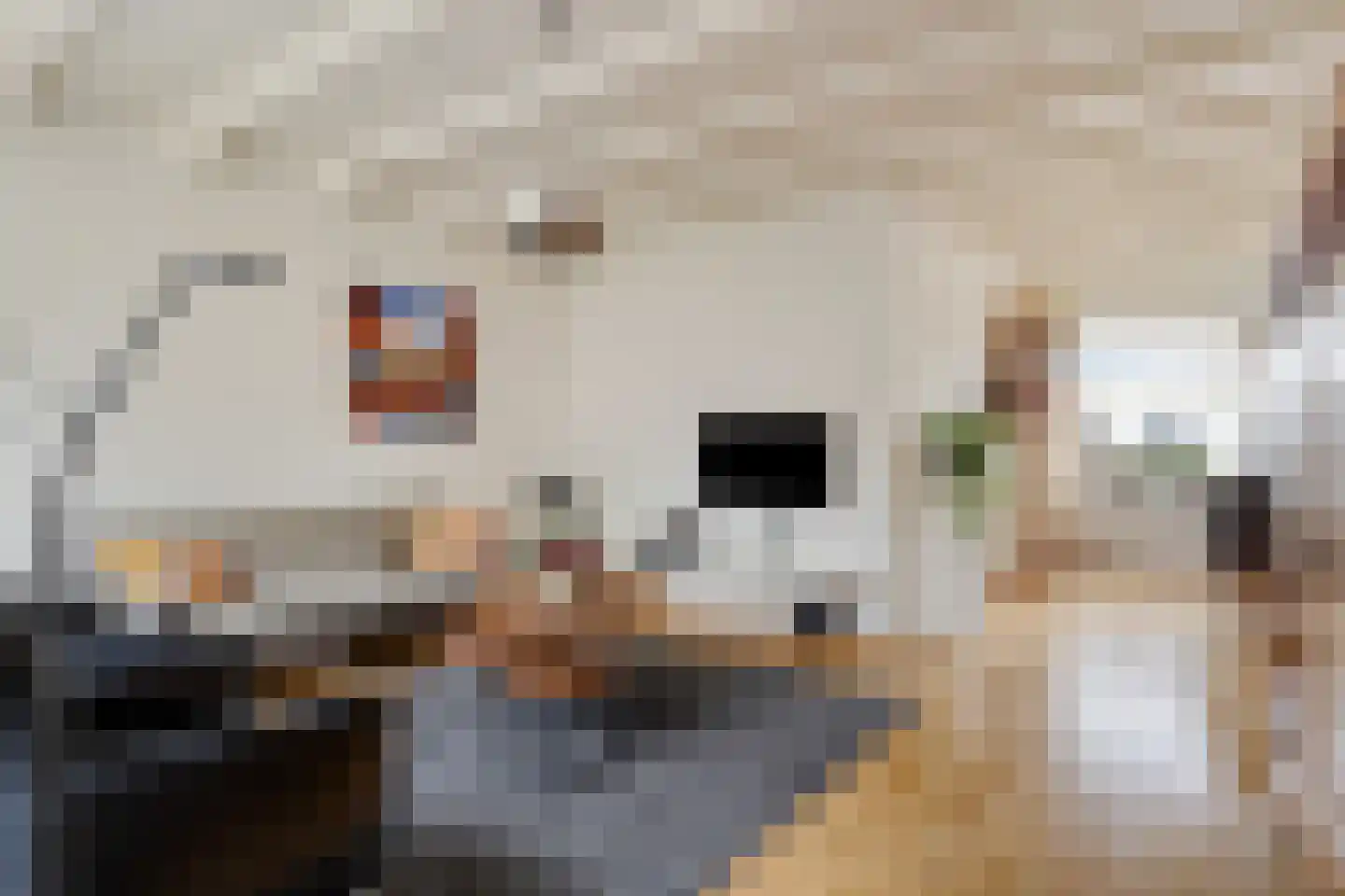 Elzeplein 2 Steenbergen thumbnail 12